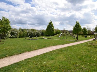 Picture 28